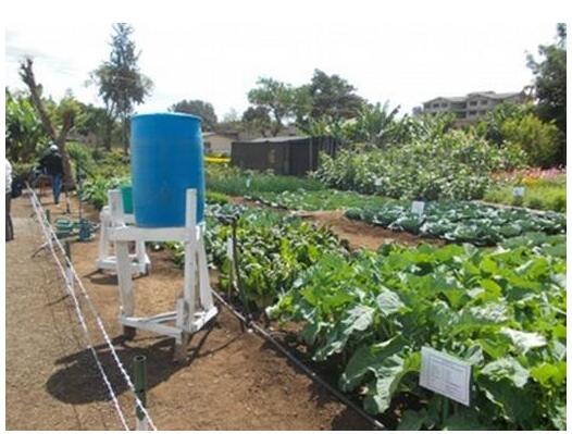 drip irrigation tube line